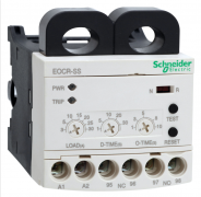 EOCR-SS
